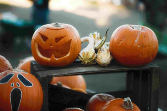 Decorating pumpkins